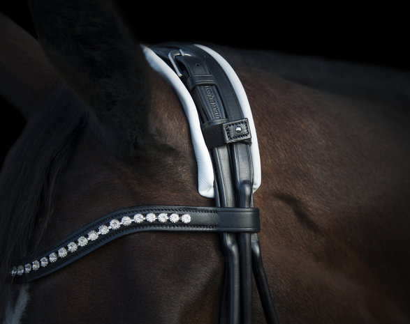 Edingburgh Black/GOLD Utzon weymouth bridle