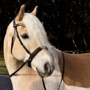 Bitless Noseband model NF2 WITH cheekpieces B2F