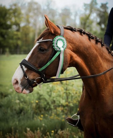 Noseband model S3 with flash loop B2F