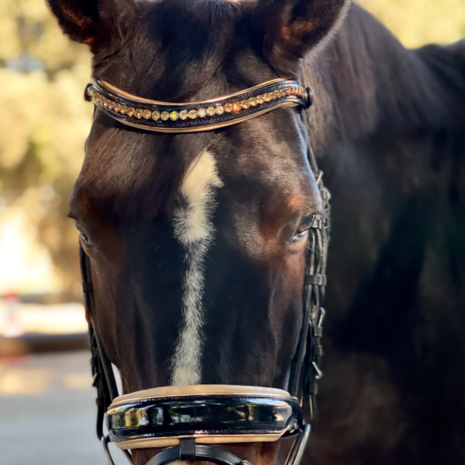 Alexandria Black Snaffle Cream padding Gold Rose piping 