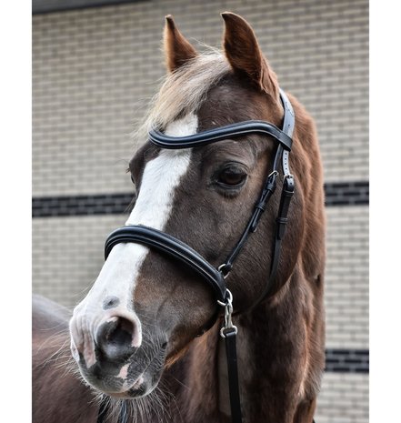 Bitless Noseband model NF2 WITH cheekpieces B2F