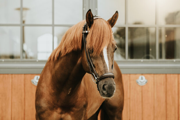 Finesse Spirit Drop Snaffle Brown/Gold