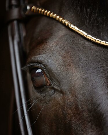 Finesse Cassidy Snaffle Black/Gold