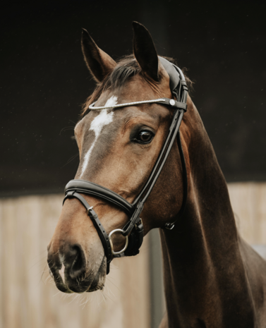 Finesse Noseband for Himalaya Brown/Gold