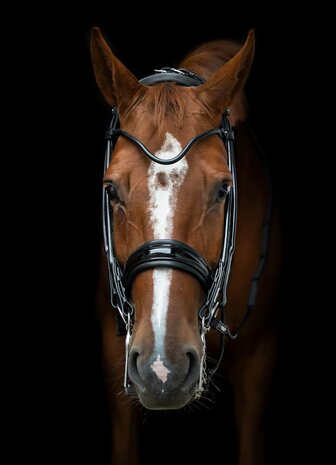 Edingburgh Black/SILVER Utzon weymouth bridle