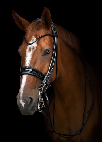 Edingburgh Black/SILVER Utzon weymouth bridle