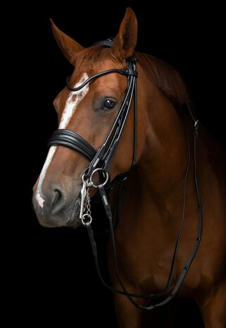 Edingburgh Black/SILVER Utzon weymouth bridle