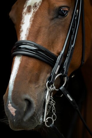 Edingburgh Black/SILVER Utzon weymouth bridle