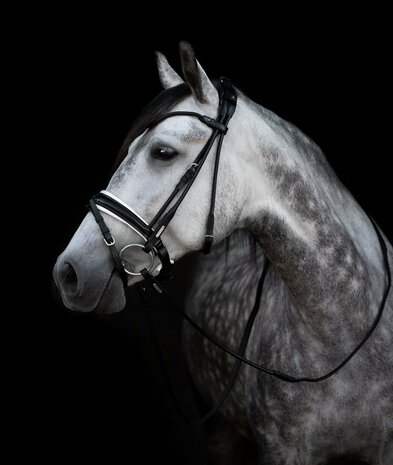 Edingburgh Black/SILVER Utzon snaffle bridle