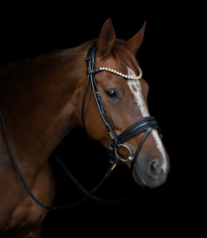 Edingburgh Black/GOLD Utzon snaffle bridle