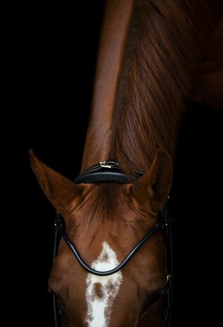 Edingburgh Black/GOLD Utzon snaffle bridle