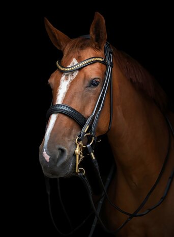 Olympic Black/GOLD Utzon weymouth bridle