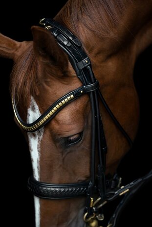 Olympic Black/GOLD Utzon weymouth bridle