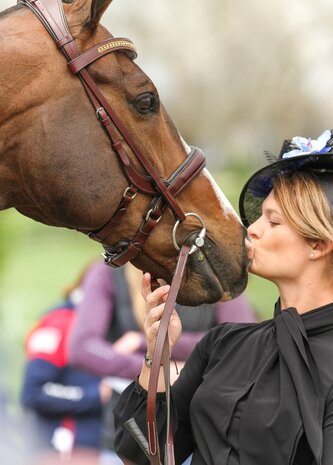 STOCK SALE TCS "Andros Topaz" noseband