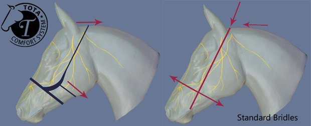 STOCK SALE TCS Tota Comfort Drop Noseband - Lage Neusriem