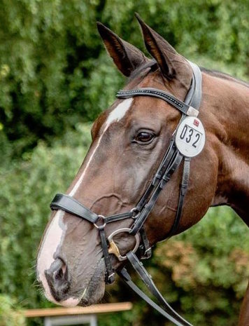 Fairfax Black Crystal Browband (Beads)