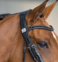 Headpiece for weymouth bridle with pearl browband 