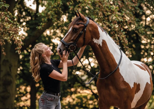 Noseband model J1 for snaffle B2F