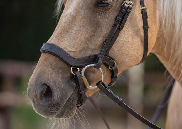 Noseband model J1 for snaffle B2F