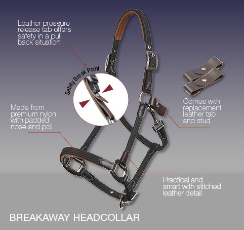 Breakaway Halter Le Mieux 