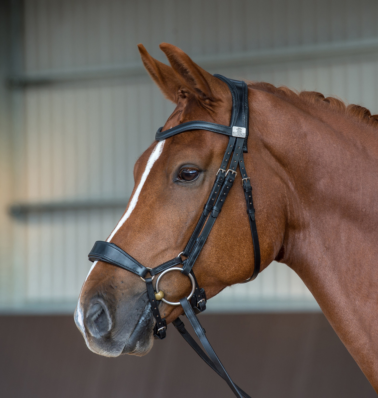 Fairfax Snaffle Drop