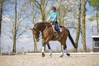 Waarom knikken in stap ? 