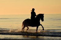 It affects the movement of your horse ! 