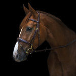 Belmond Utzon snaffle bridle