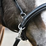 Bitless Noseband model NF2 WITH cheekpieces B2F