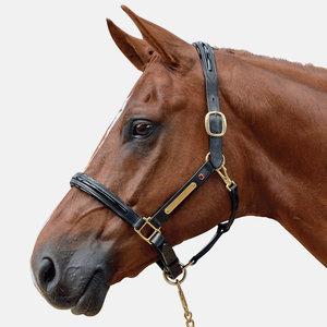 Albion Halter With Patent Leather Details Bridle Ride Albion Halter With Patent Leather Details Bridle Ride
